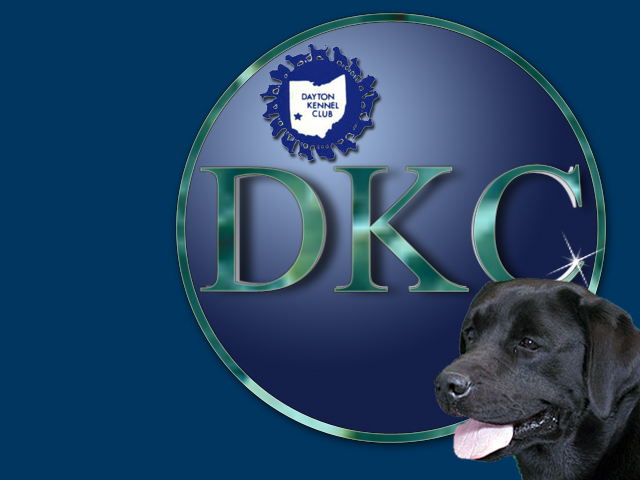 DKC Logo Image
